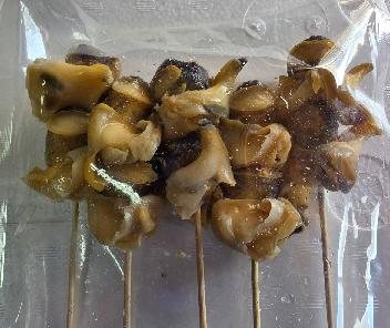 噴火湾産 つぶ貝の串